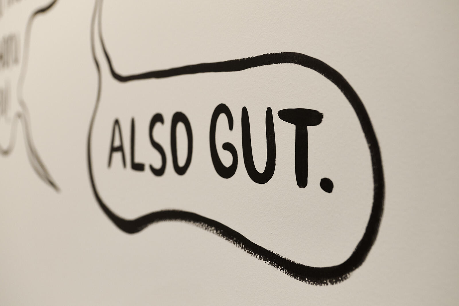 Ausstellungsansicht Arme Schweiz: Lika Nüssli und Albert Minder erzählen, Galerie Litar. Foto: Nakarin Saisorn.